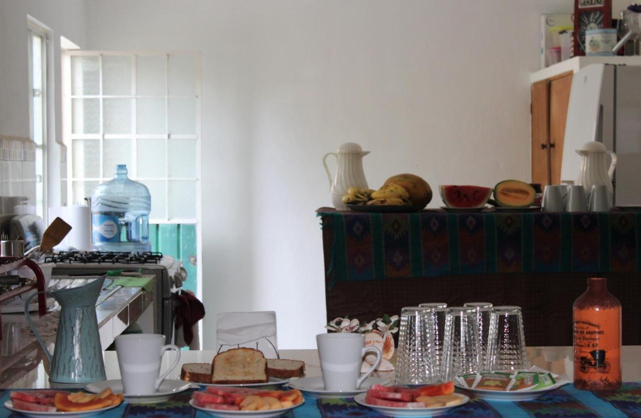 Mandala Hostel 图卢姆 外观 照片