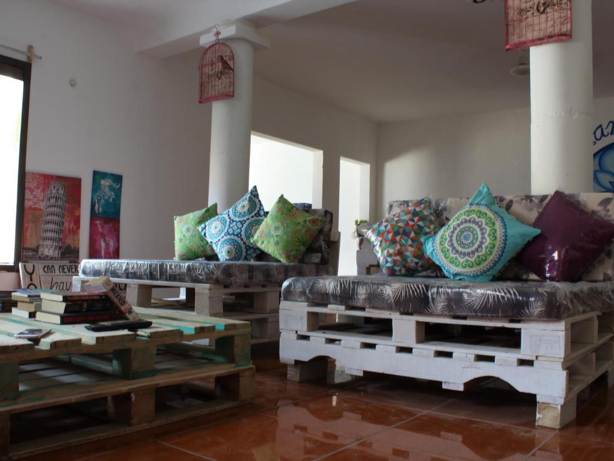 Mandala Hostel 图卢姆 外观 照片