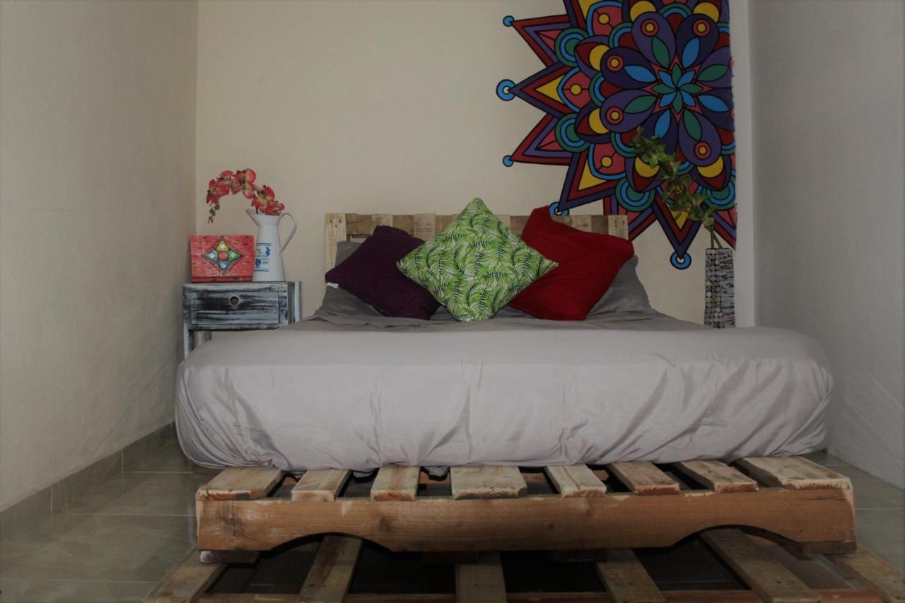 Mandala Hostel 图卢姆 外观 照片