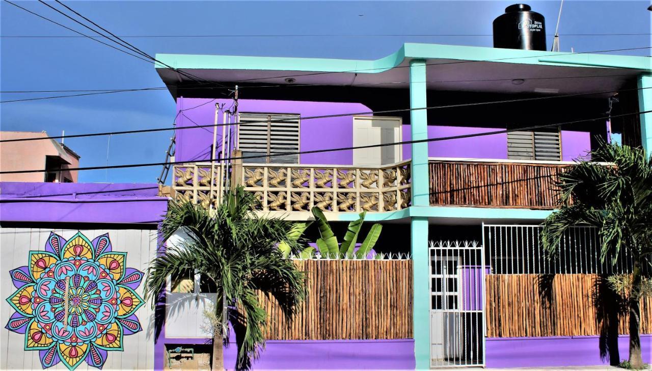 Mandala Hostel 图卢姆 外观 照片