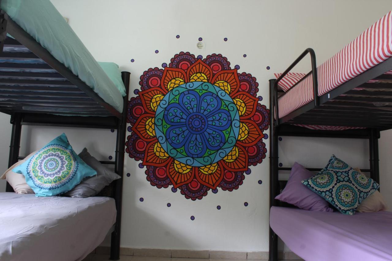 Mandala Hostel 图卢姆 外观 照片